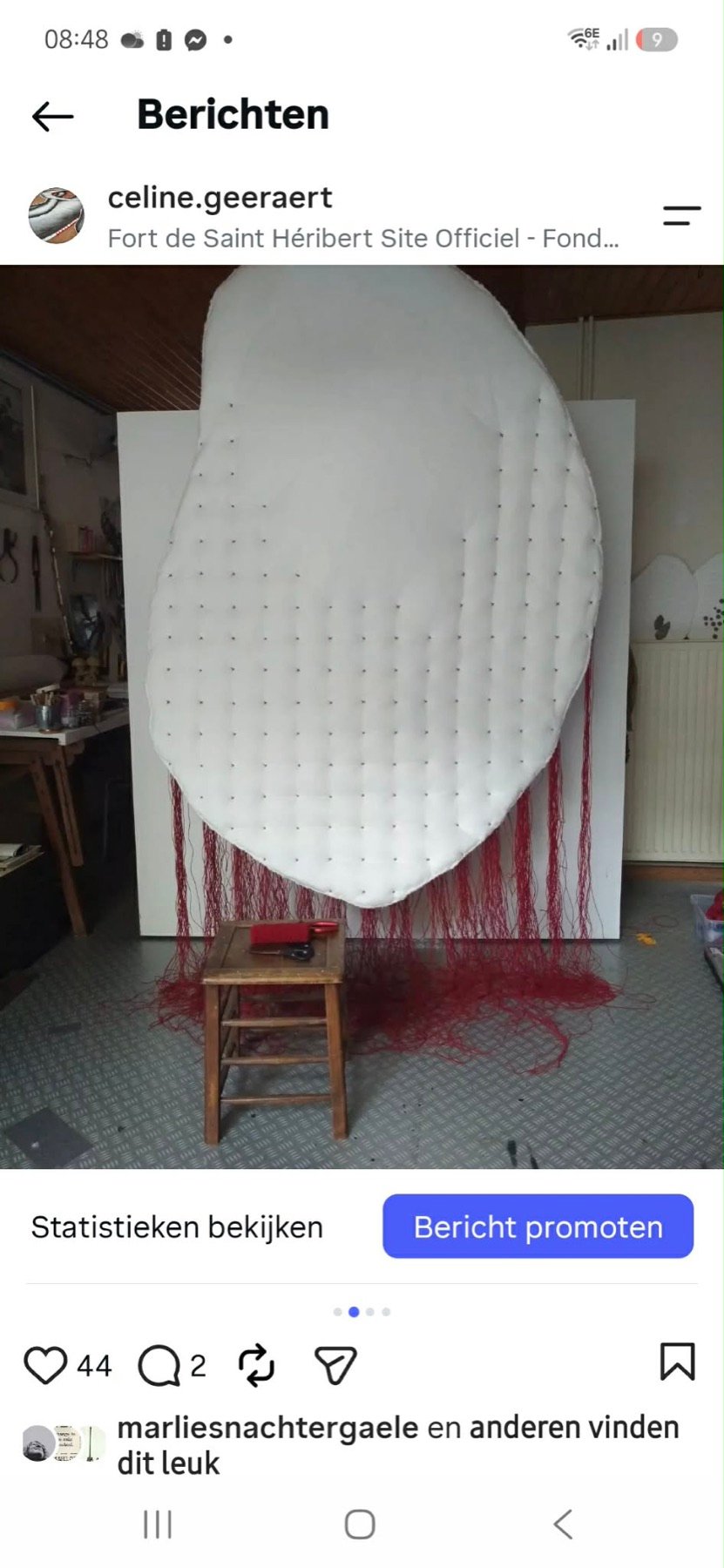Werk van Celine Geeraert